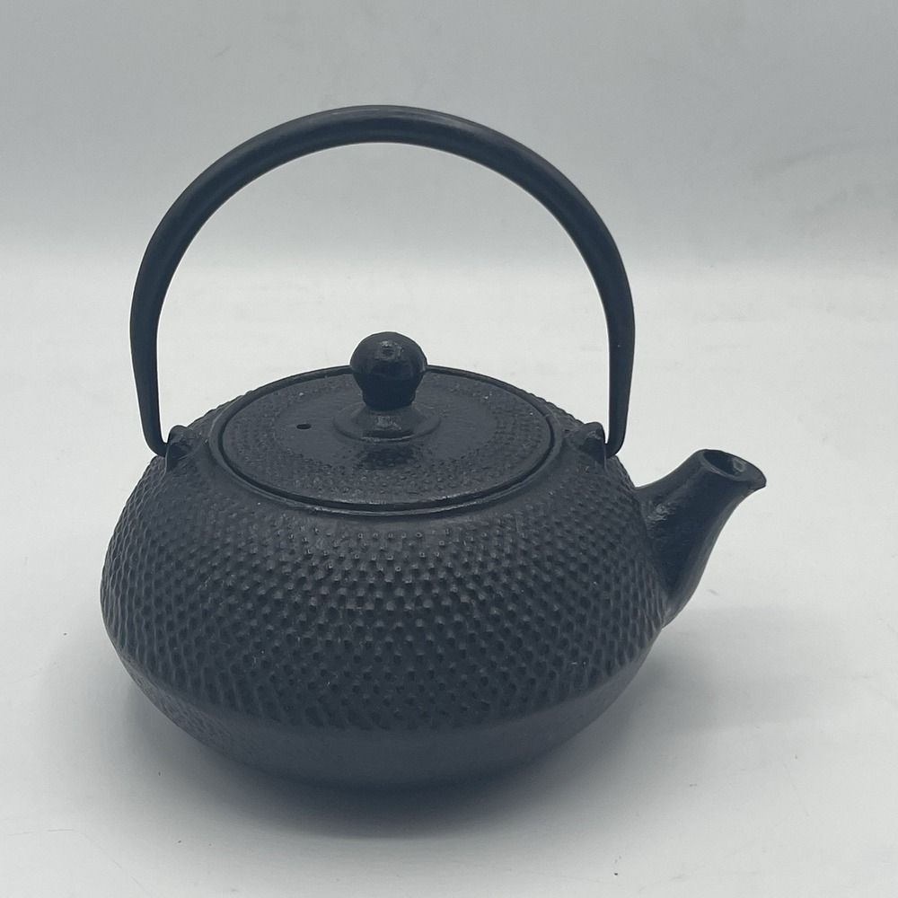Japanese Black Cast Iron Tetsubin Kettle Hobnail Teapot W/Infuser